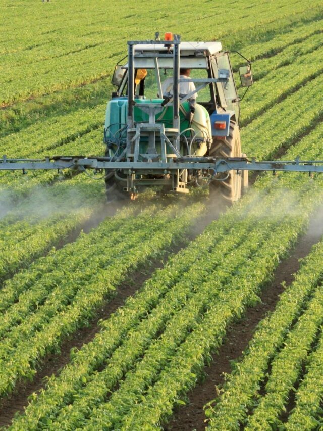 Entenda a dependência brasileira de FERTILIZANTES