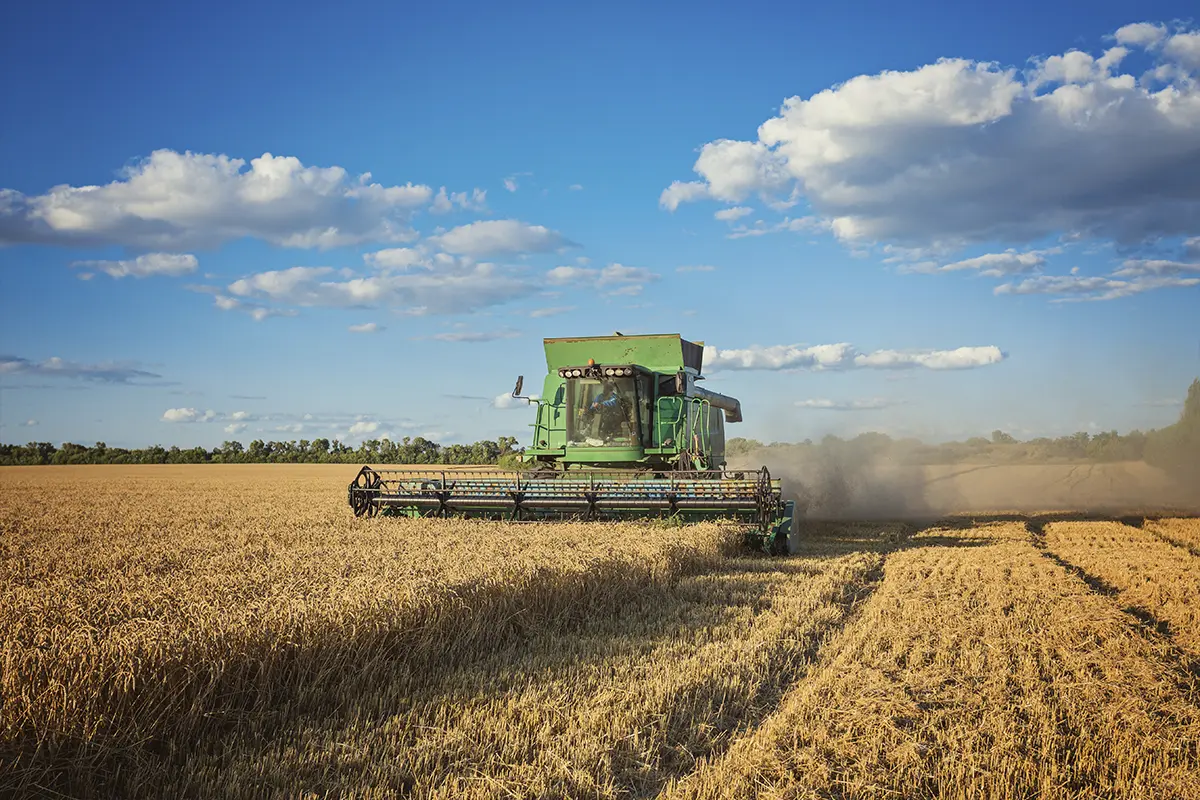 Como investir em Commodities Agrícolas